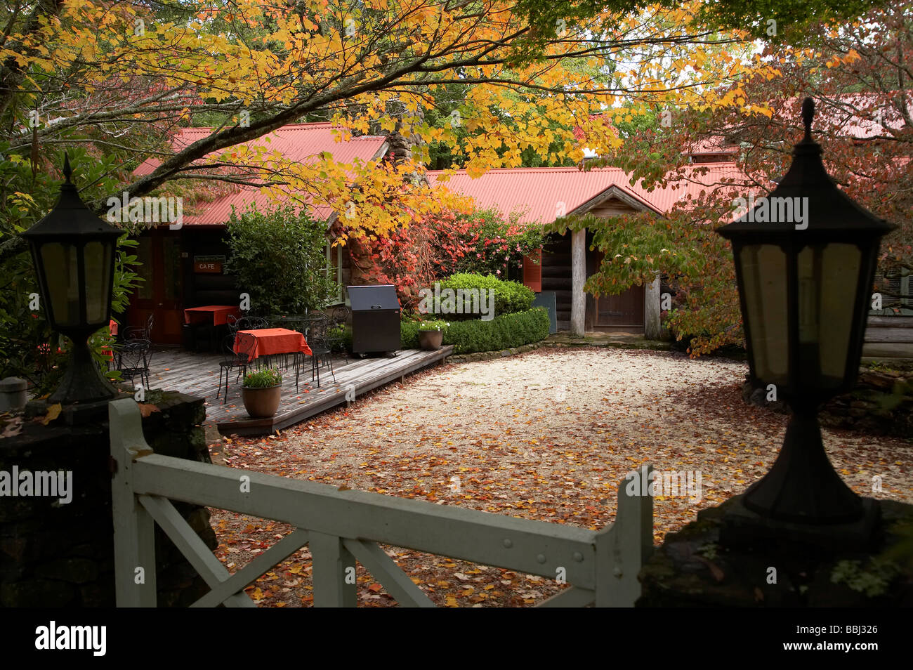 Colore di autunno e camino patrimonio Cottage Cafe Mount Wilson Blue Mountains Nuovo Galles del Sud Australia Foto Stock