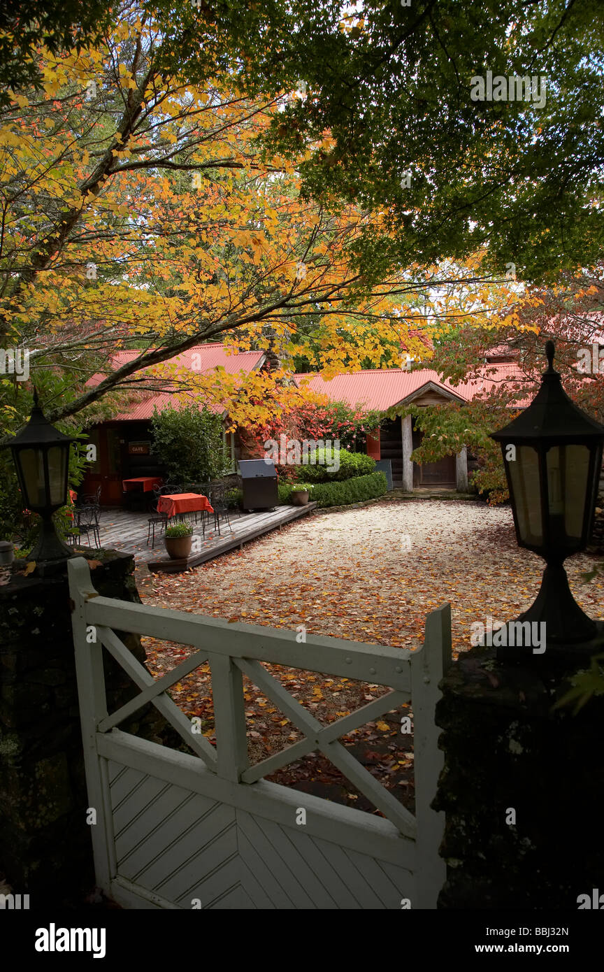 Colore di autunno e camino patrimonio Cottage Cafe Mount Wilson Blue Mountains Nuovo Galles del Sud Australia Foto Stock