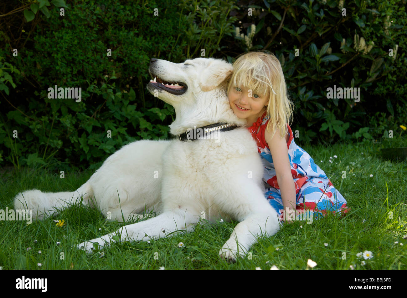 Ragazza 4 anni, bionda, con il polacco di Tatra Sheepdog Foto Stock