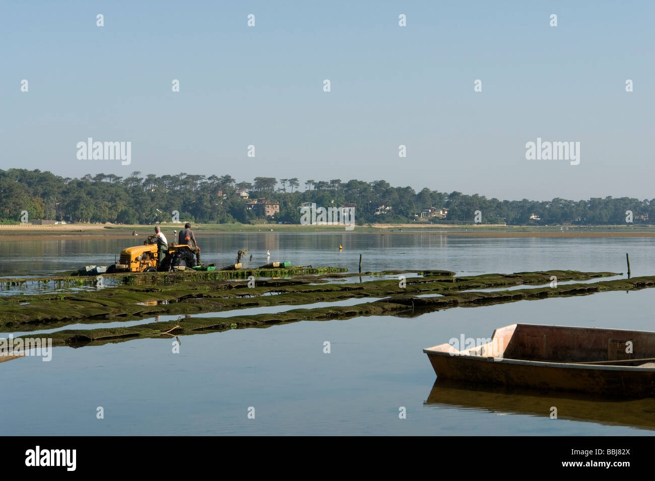 A Hossegor, oyster-gli agricoltori che lavorano (Landes - Francia). Ostréiculteurs au travail à Hossegor (Landes - Francia). Foto Stock