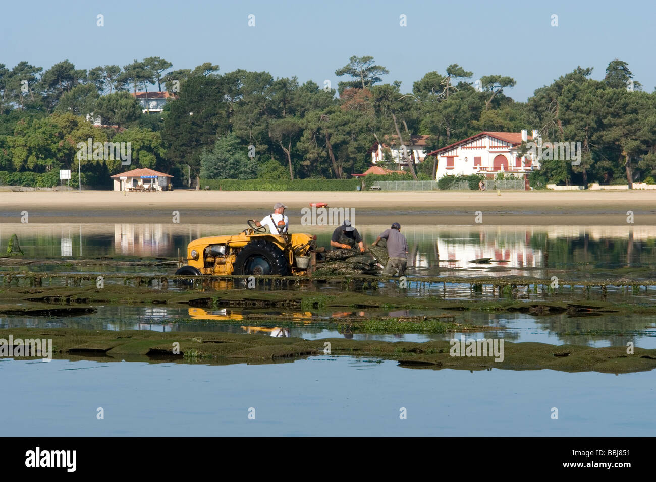 A Hossegor, oyster-gli agricoltori che lavorano (Landes - Francia). Ostréiculteurs au travail à Hossegor (Landes - Francia). Foto Stock