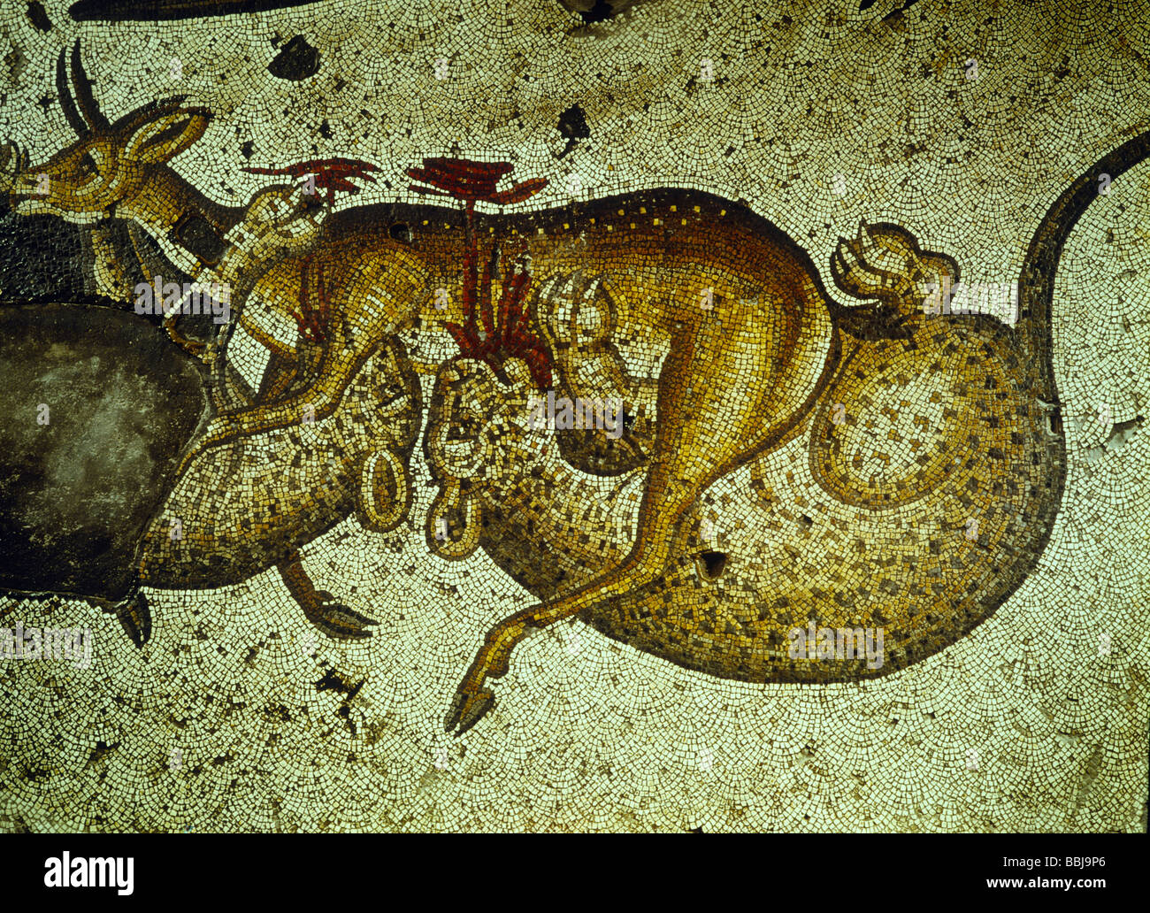 Due pantere divorando una femmina del cervo museo del mosaico di Istanbul Foto di Andre detenute Foto Stock