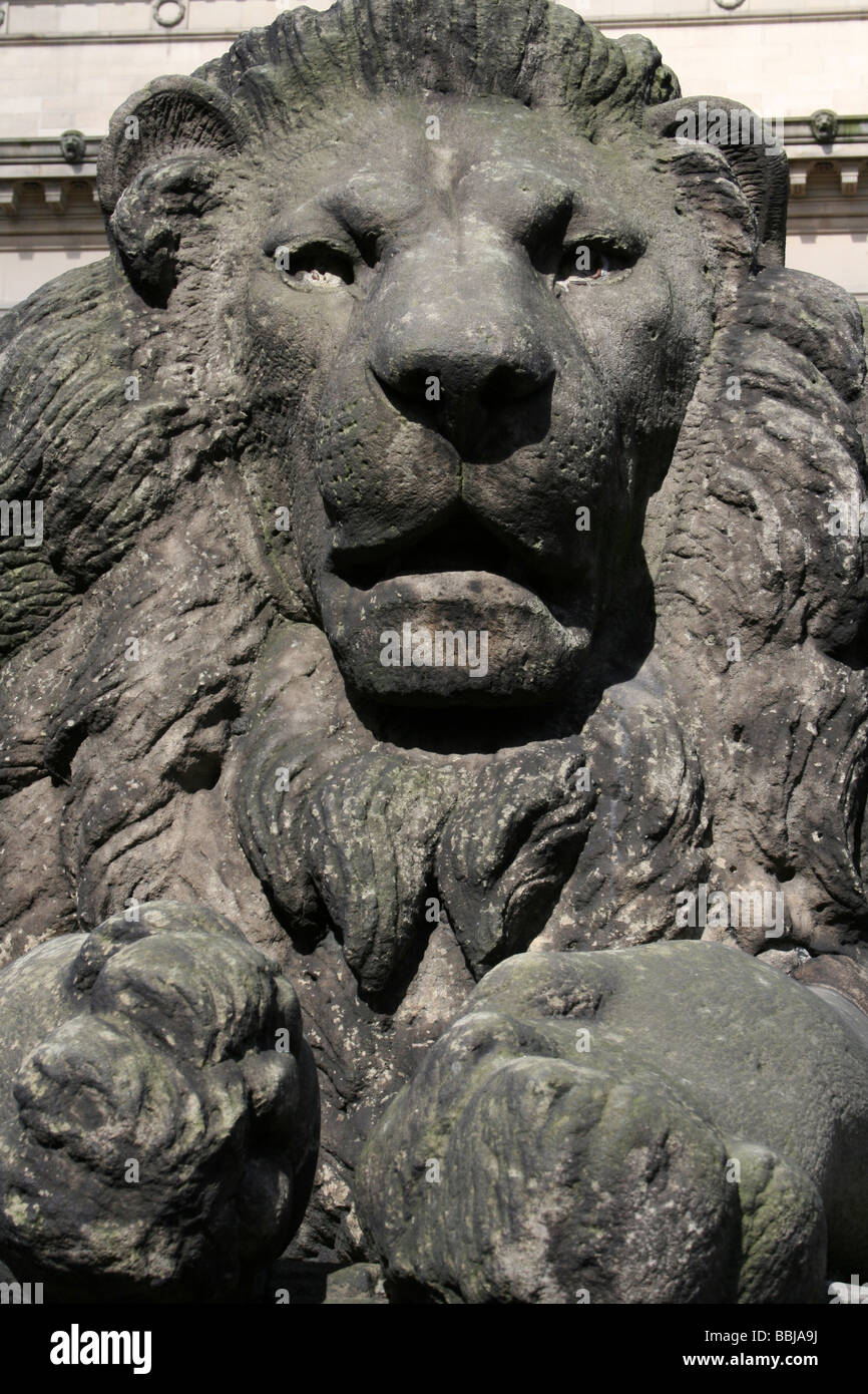Ritratto di uno dei quattro statue di leoni al di fuori di St George's Hall, Liverpool, Merseyside, Regno Unito Foto Stock