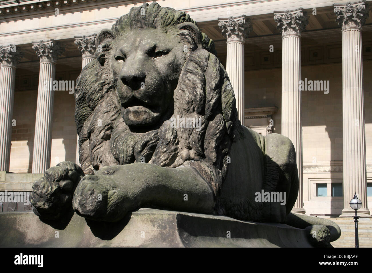 Uno dei quattro statue di leoni al di fuori di St George's Hall, Liverpool, Merseyside, Regno Unito Foto Stock