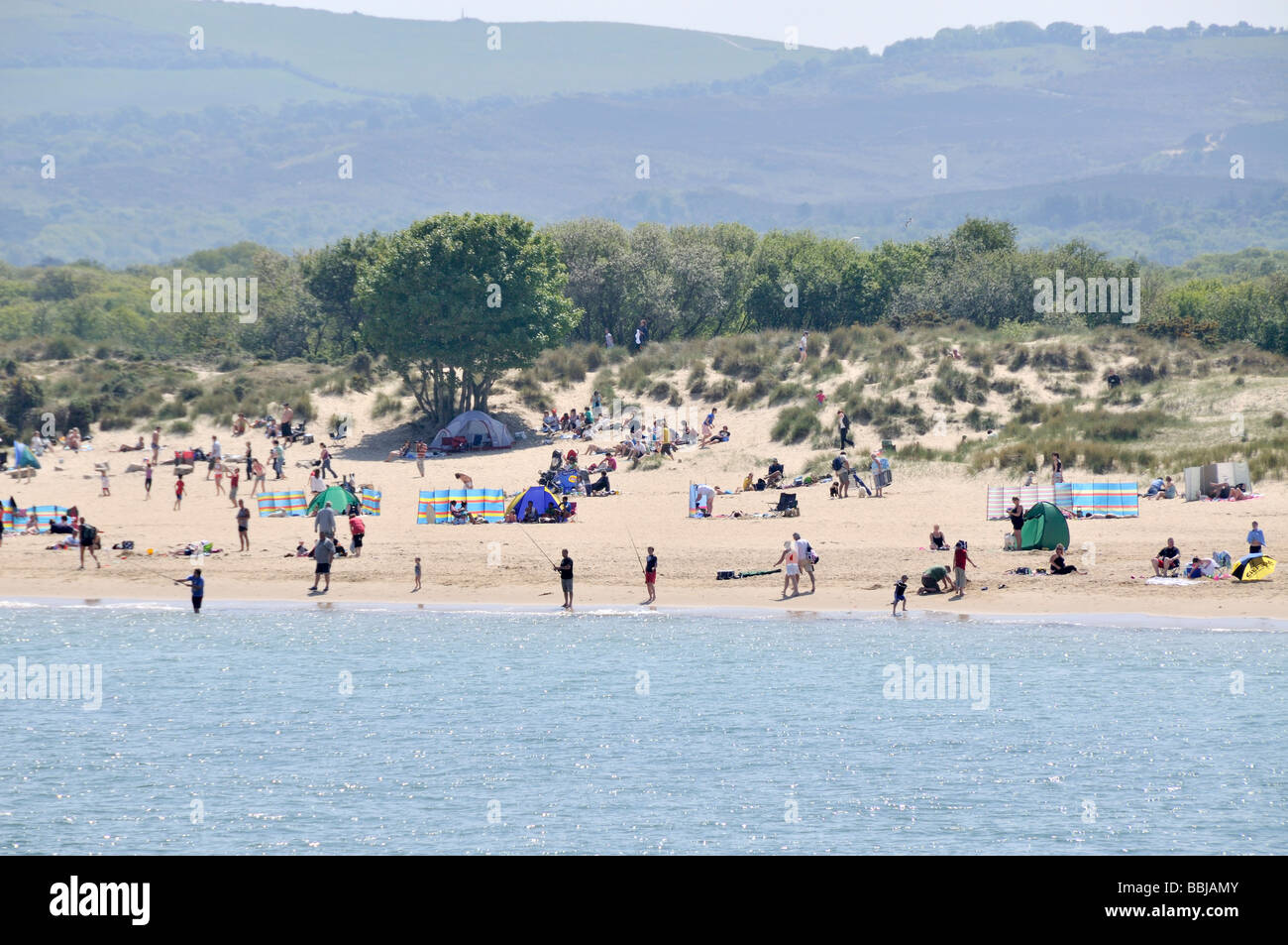 Banchi di sabbia spiaggia nel porto di Poole Dorset Inghilterra Foto Stock