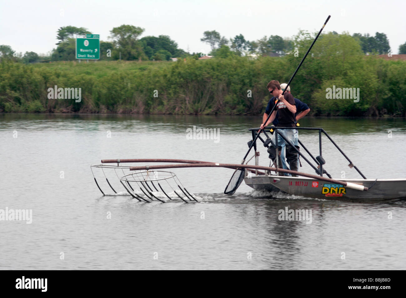 Iowa DNR lavoratori pronti a net storditi pesce da elettrodi appeso nella parte anteriore della barca Foto Stock
