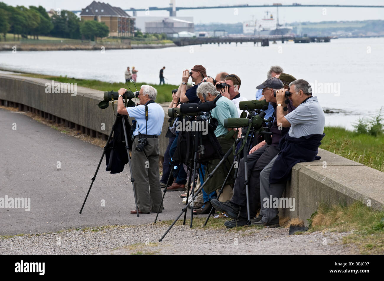 Un gruppo di ornitologi guardando gli uccelli a Rainham Marsh in Essex. Foto Stock