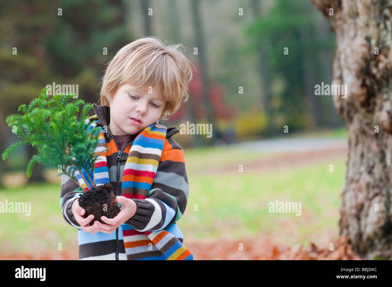 Ragazzo giovane azienda piccolo albero pronto per impianto, Vancouver, British Columbia Foto Stock