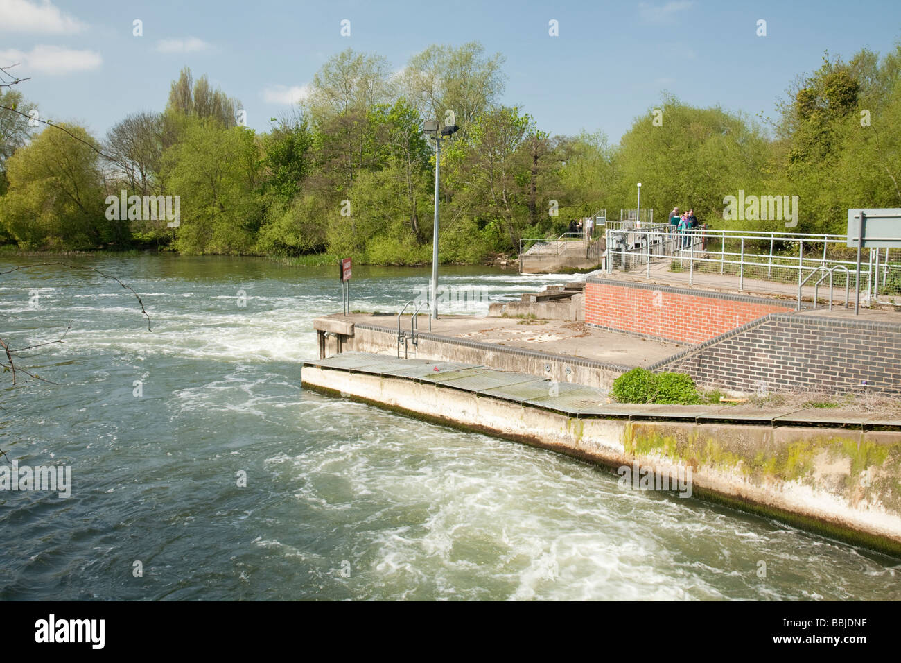 Weir e weir piscina sul Fiume Tamigi a Abingdon Oxfordshire Uk Foto Stock