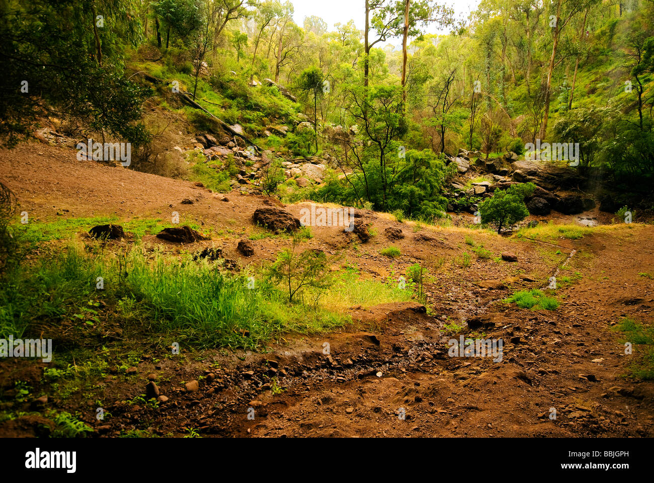 L'acqua fluisce in Paradise Falls Foto Stock