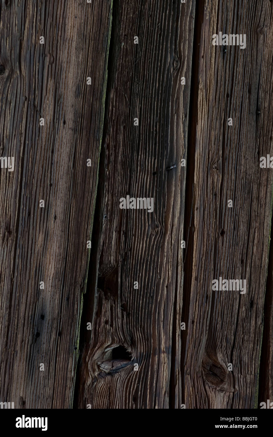 Stati Uniti d'America, Washington, Tacoma. Età scure squadrate a mano in legno. Foto Stock