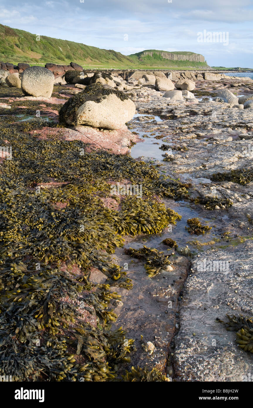 Drumadoon Point, isola di Arran Foto Stock