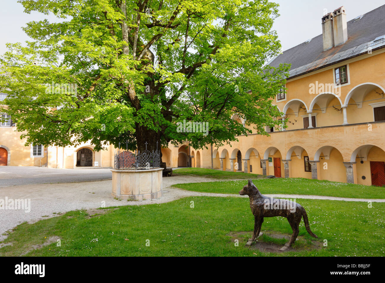 1000 Anno Vecchio Tiglio, cosiddetto tribunale albero nel cortile del Stift convento Millstatt, in Carinzia Austria, Europa Foto Stock
