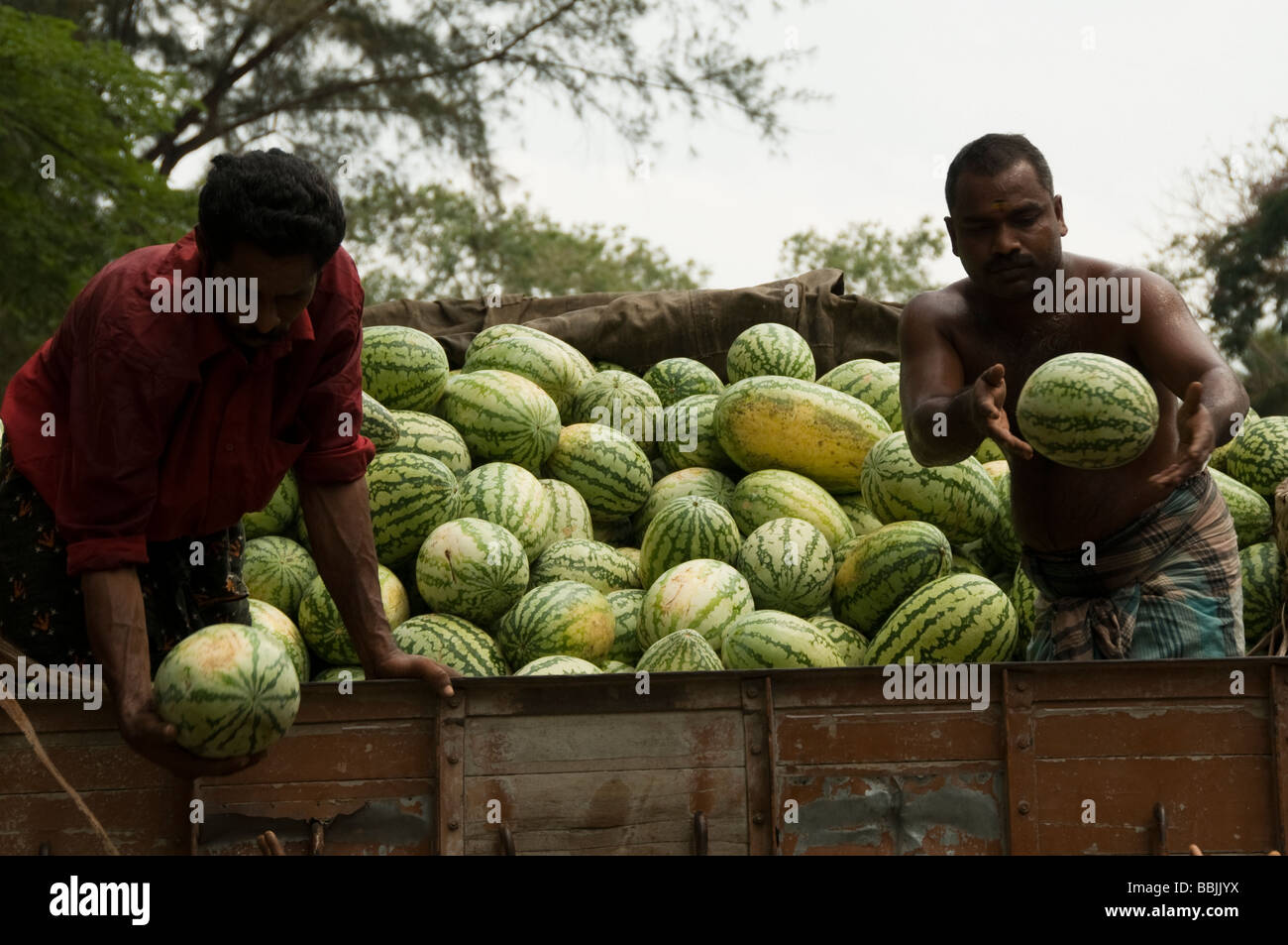 Pila di anguria stallo in un mercato, Kerala, India Foto Stock