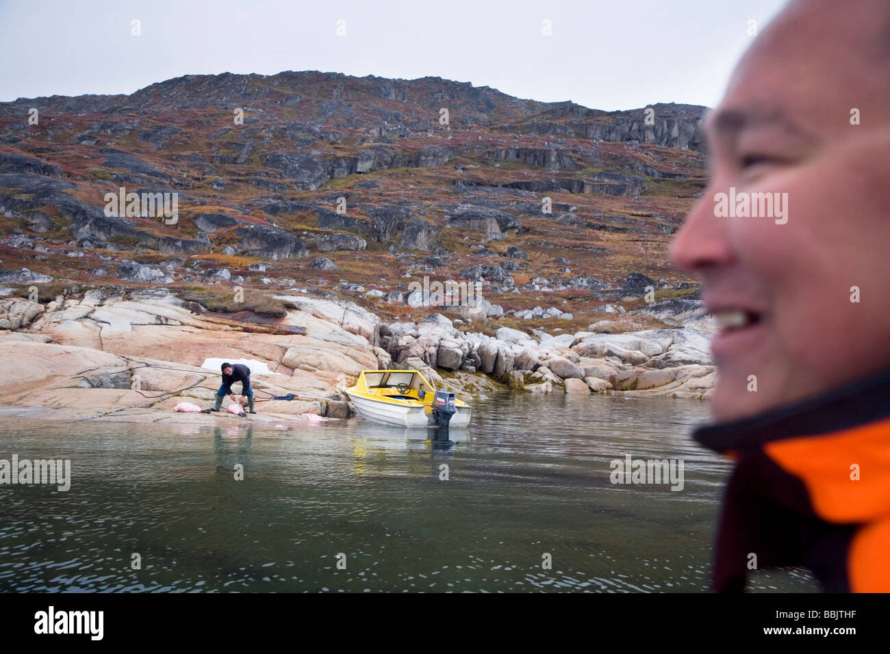 Cacciatori di tenuta in Groenlandia meridionale Foto Stock