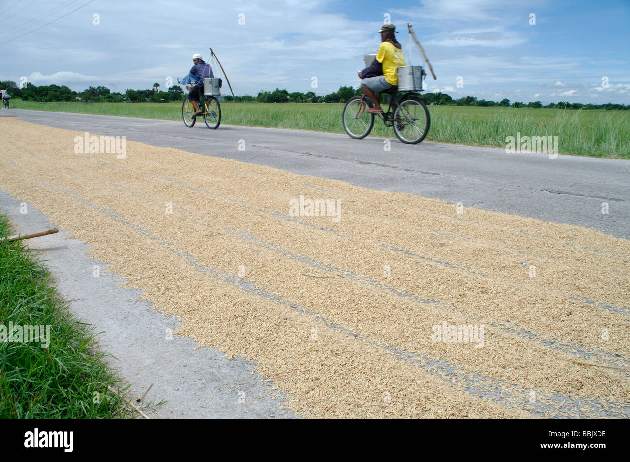 Ragazzi che vende latte superato il ciclo di essiccazione del riso in strada, Nueva Ecija, Luzon del nord, Filippine Foto Stock