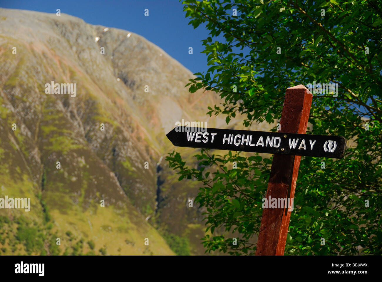 West Highland Way signpost, Ben Nevis in background Foto Stock