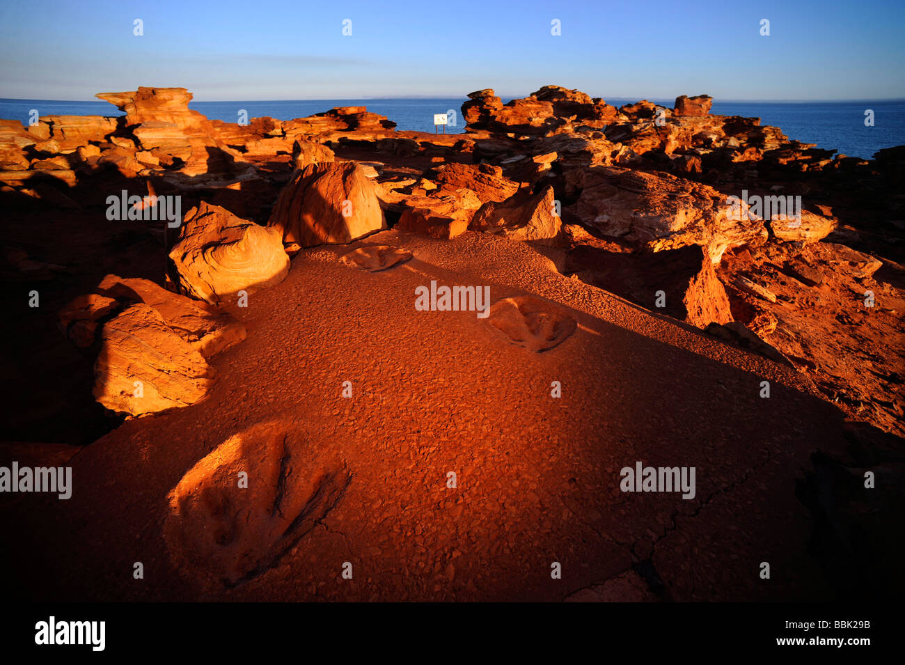 Una copia di orme di dinosauri sul display di BROOME, Western Australia. L'originale è visble a bassa marea in background. Foto Stock
