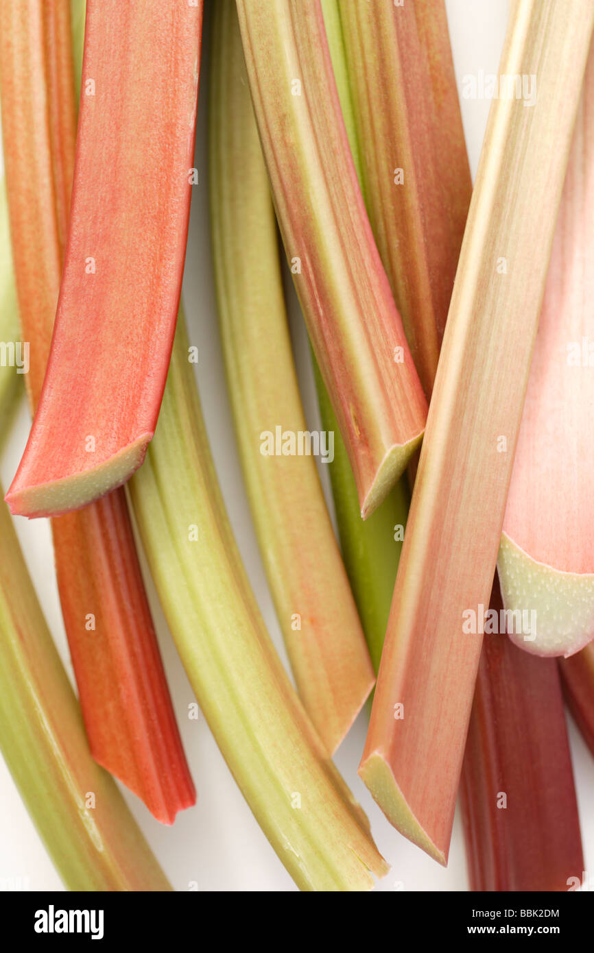 Tagliare il rabarbaro Rheum rhabarbarum Foto Stock