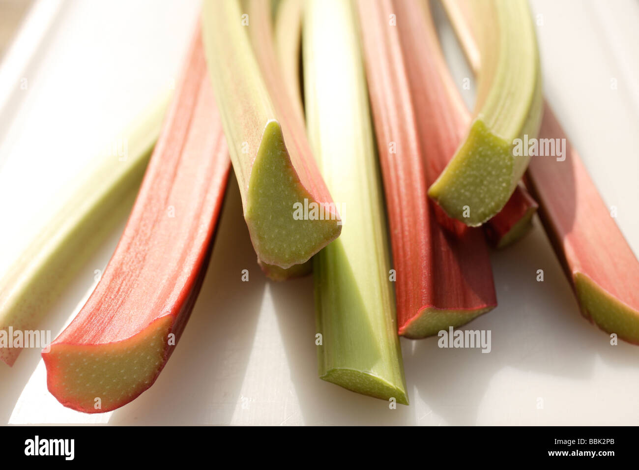 Tagliare il rabarbaro Rheum rhabarbarum Foto Stock