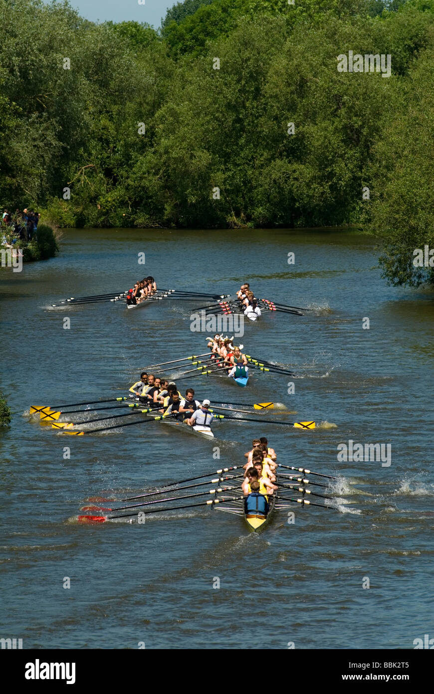 Oxford University Rowing Clubs Eights Week Rowing Race sul Fiume Isis attualmente fiume Tamigi in Oxford Oxfordshire 2009 2000 HOMER SYKES Foto Stock