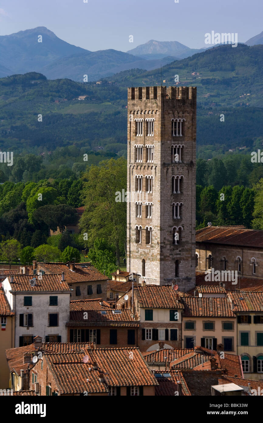 Angolo di alta vista di Lucca dalla Torre Guinigi, alla Basilica di San Frediano, Lucca, Toscana, Italia, Europa Foto Stock