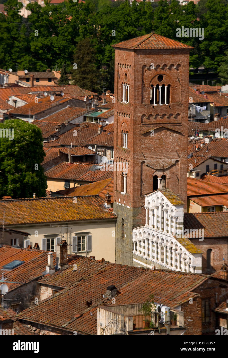 Alta Vista della città dalla Torre Guinigi a Piazza San Pietro Somaldi, Lucca, Toscana, Italia, Europa Foto Stock