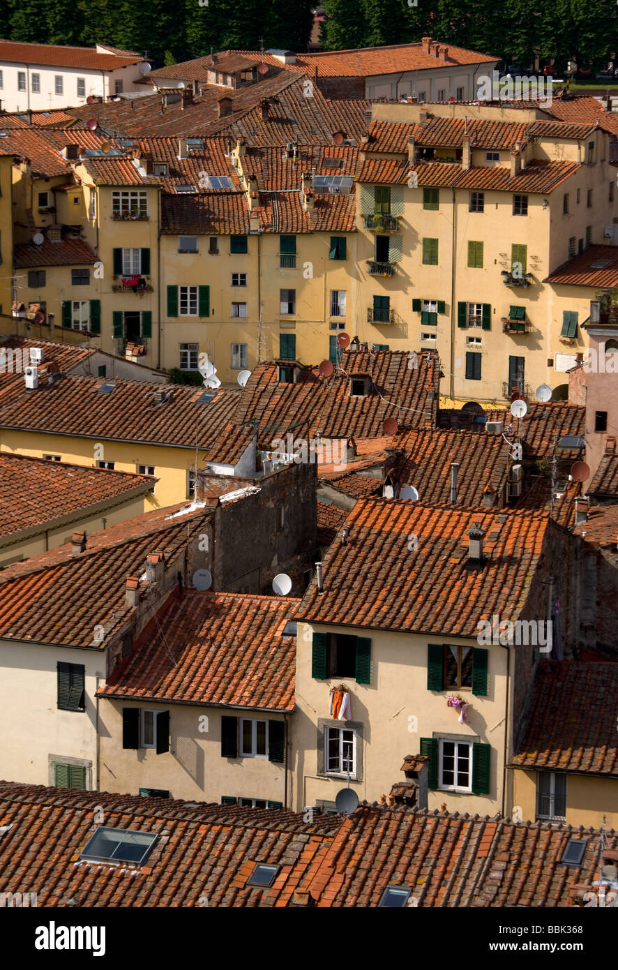 Alta Vista della città dalla Torre Guinigi a piazza anfietatro, Lucca, Toscana, Italia, Europa Foto Stock