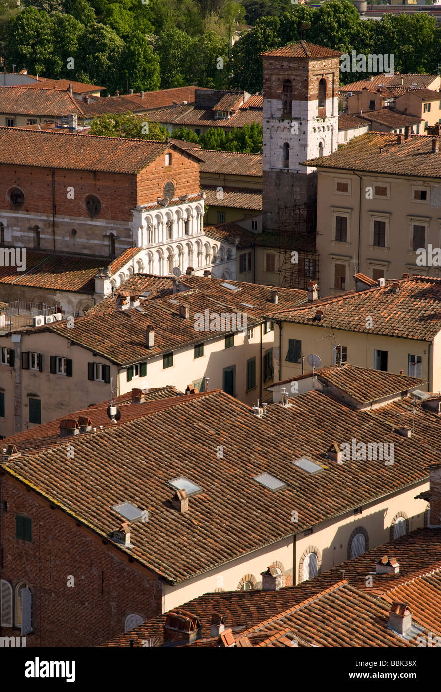 Alta Vista della città dalla Torre Guinigi e Chiesa di Santa Maria Bianca, Lucca, Toscana, Italia, Europa Foto Stock