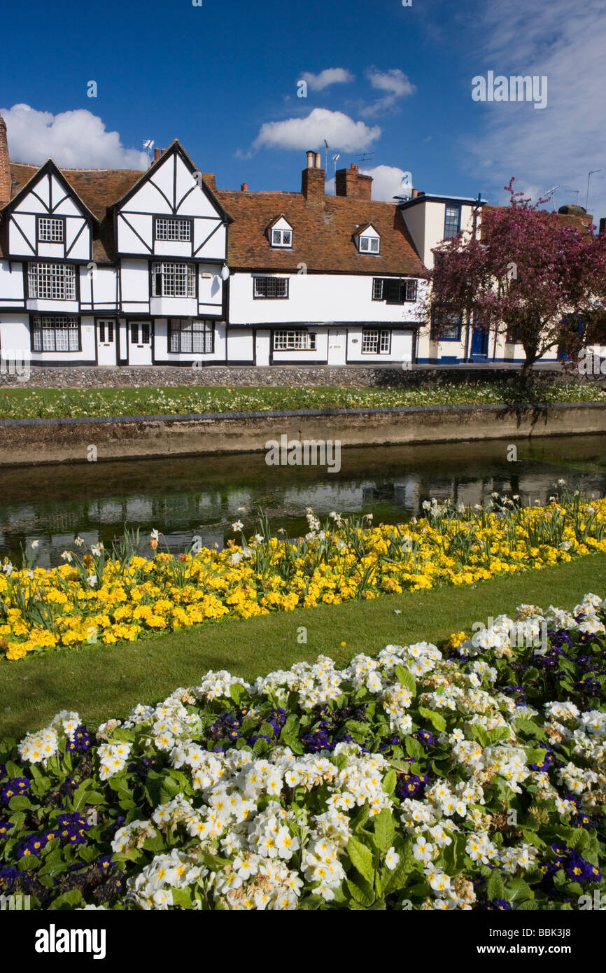Westgate giardini e sul fiume stour in Canterbury Kent, Regno Unito Foto Stock