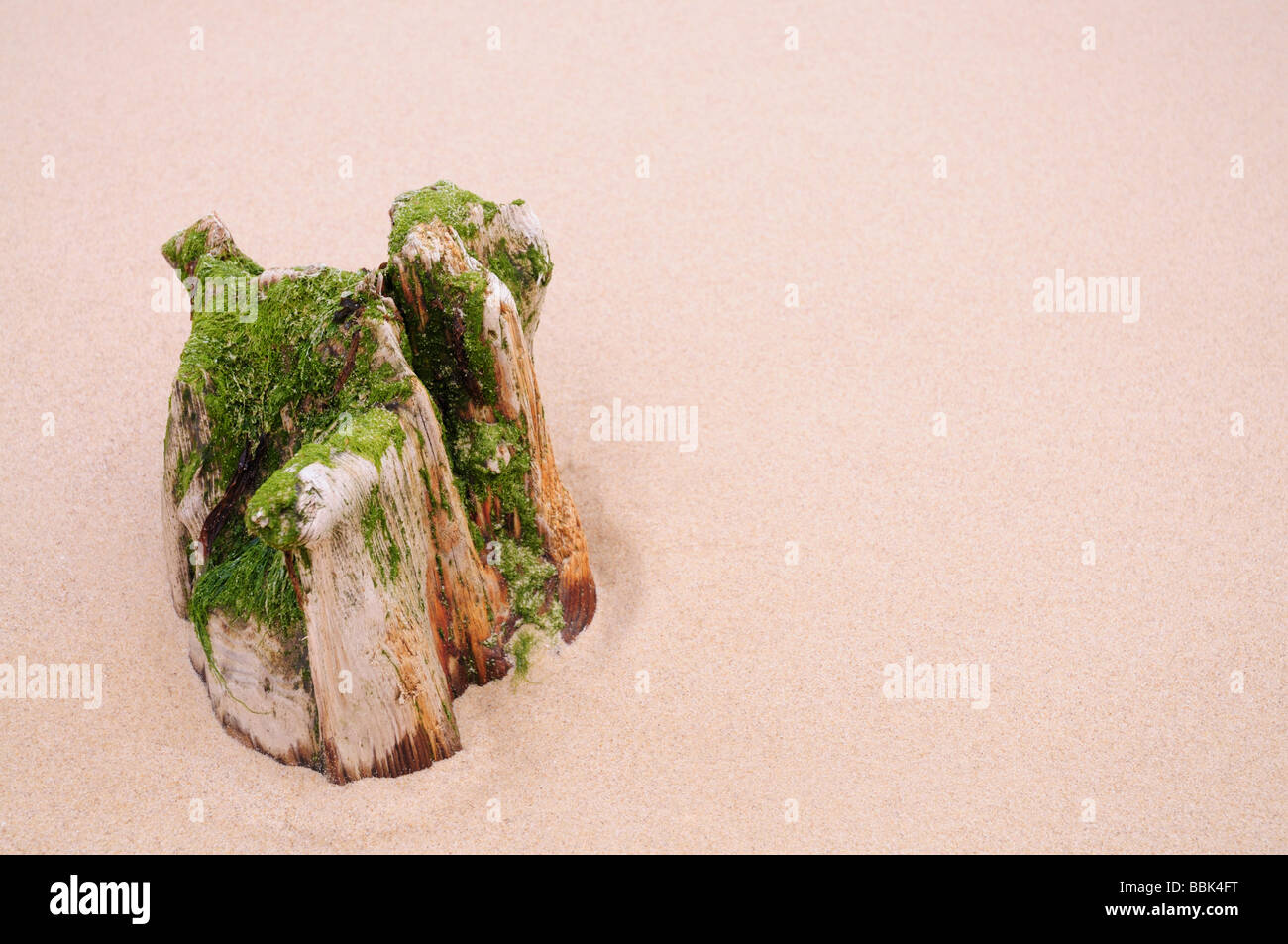Marciume pier gamba di supporto in spiaggia sabbiosa Suffolk Foto Stock