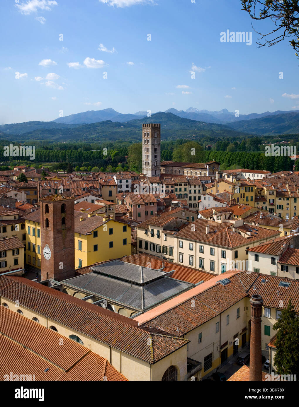 Angolo di alta vista di Lucca dalla Torre Guinigi, alla Basilica di San Frediano, Lucca, Toscana, Italia, Europa Foto Stock