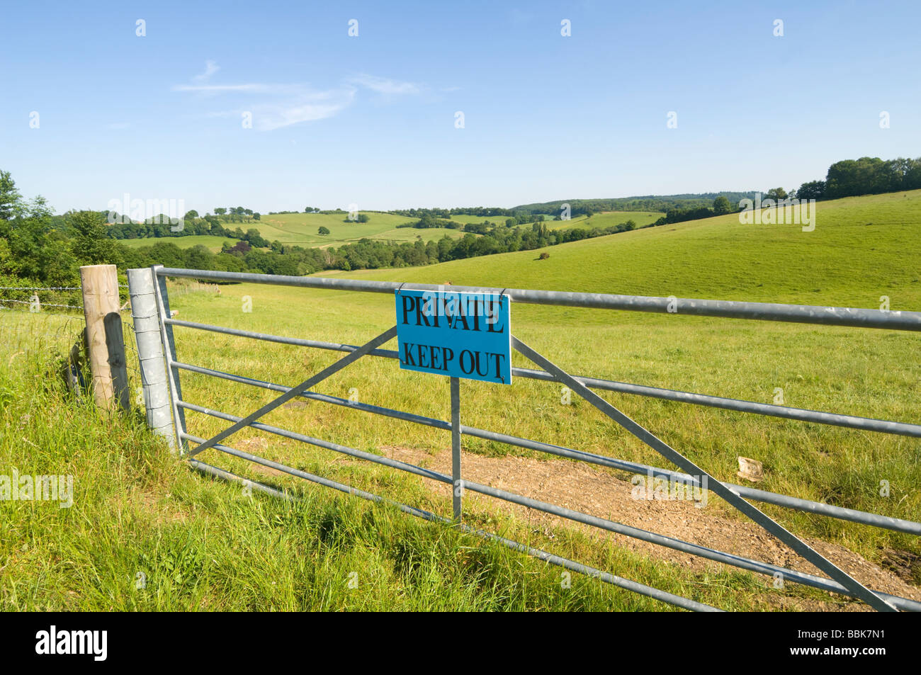 Campagna vicino a Godalming Surrey UK Foto Stock