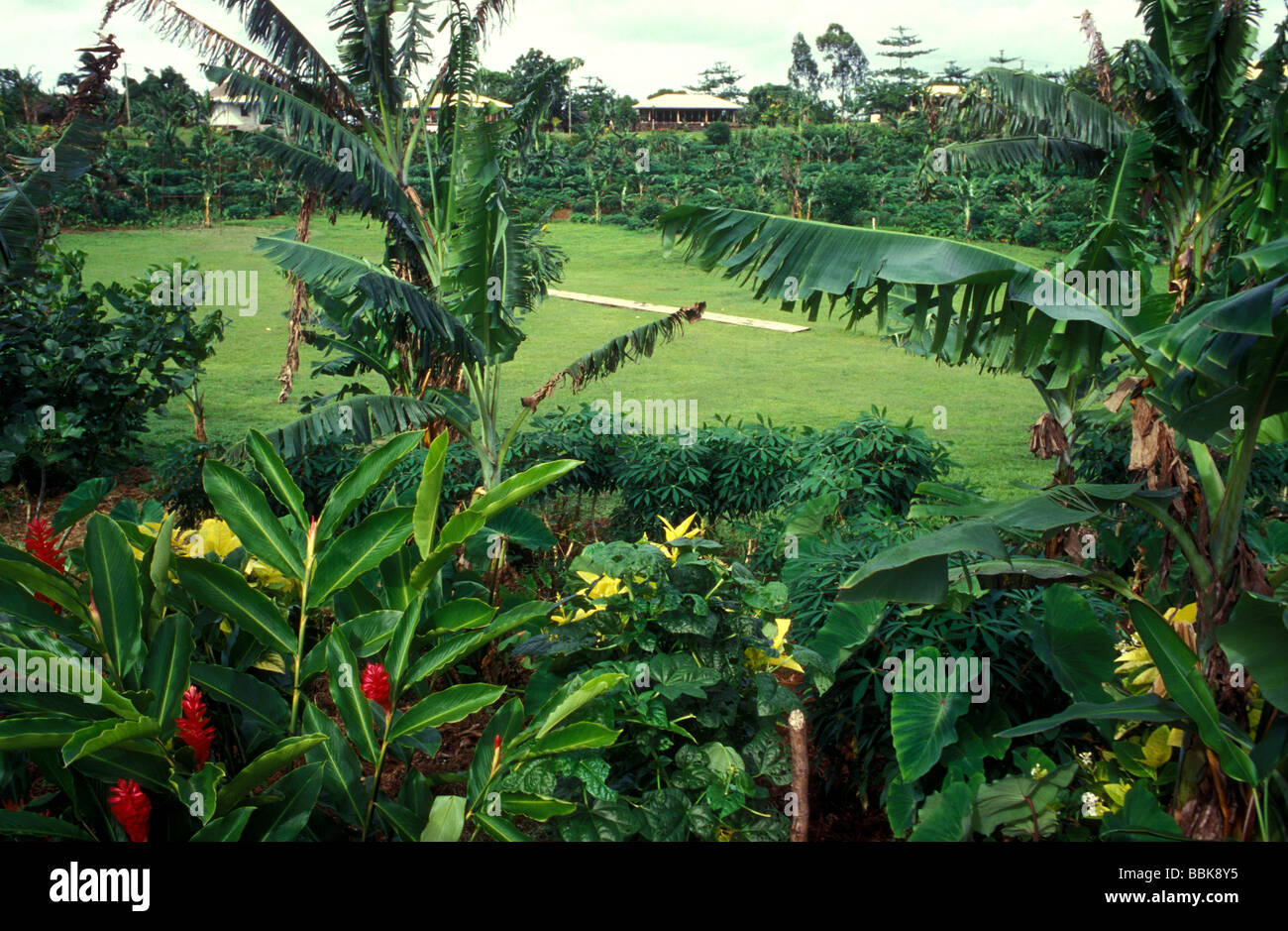 Savaii samoa Foto Stock