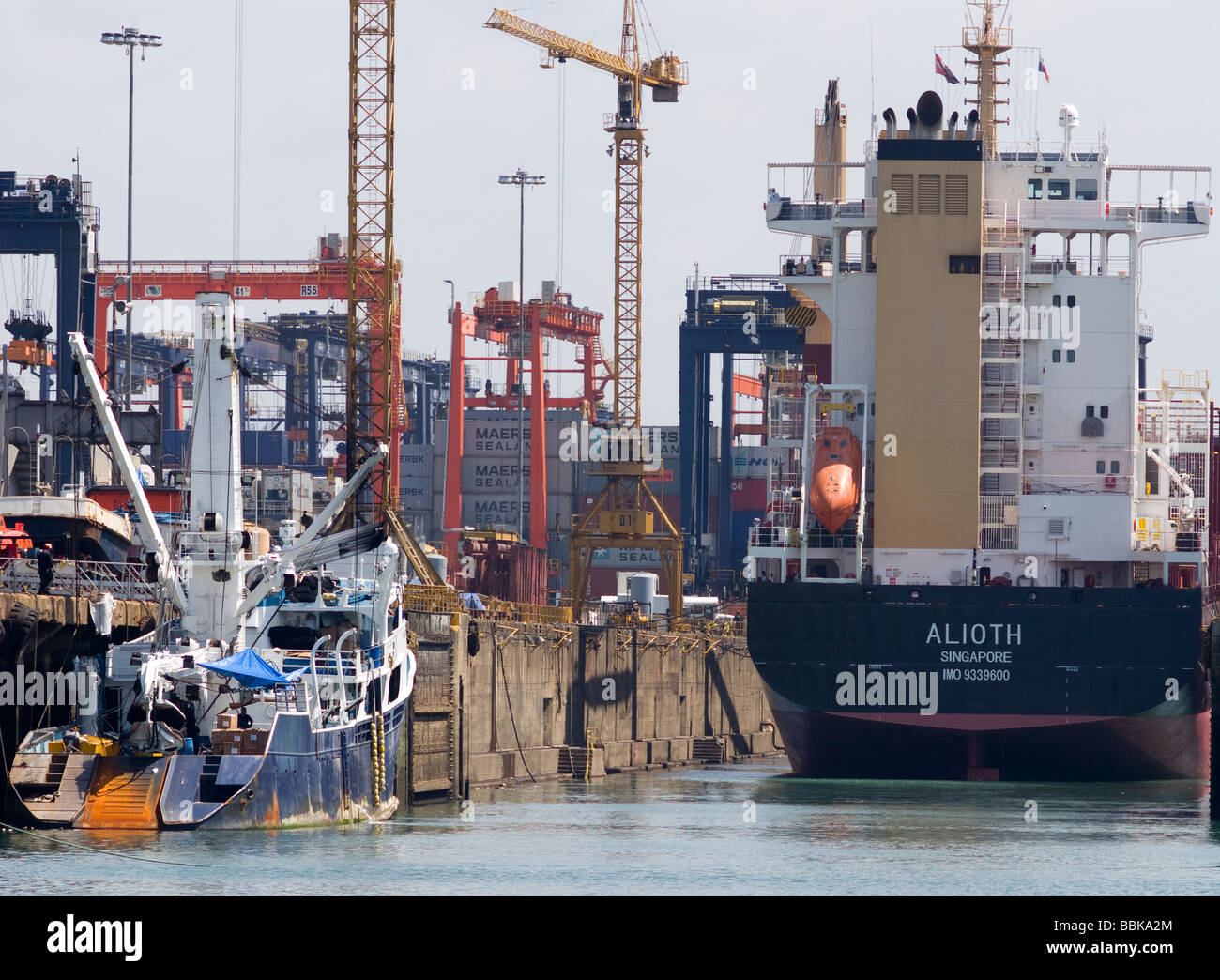 Panama.Panama city.Porto di Balboa.attività portuali. Foto Stock