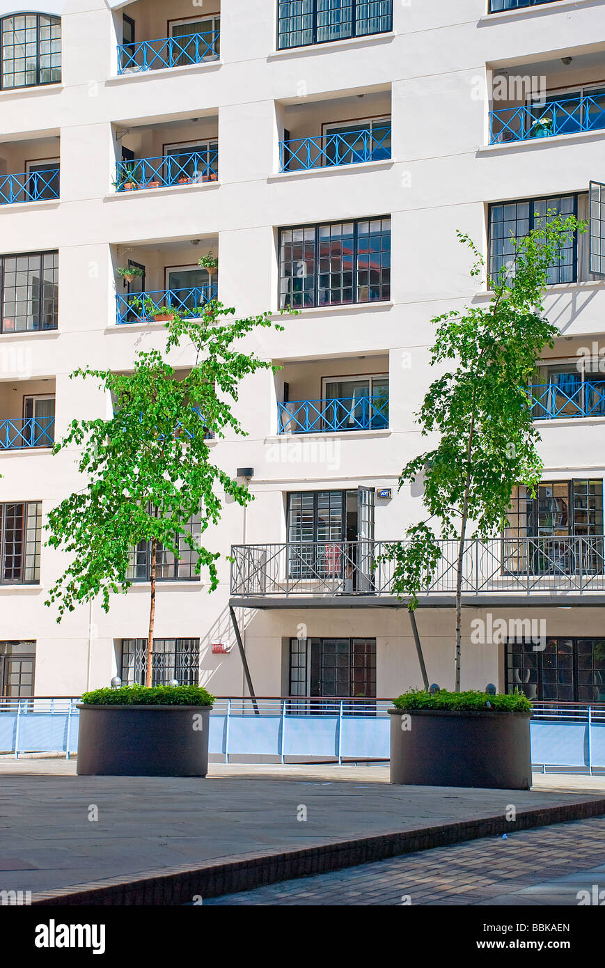 Due alberi nel cortile di Londra appartamento sviluppo Foto Stock