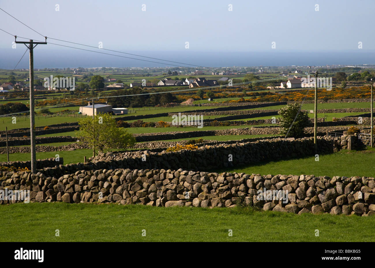 Asciugare la parete in pietra i confini del campo nel regno di Mourne contea di Down Irlanda del Nord Regno Unito Foto Stock
