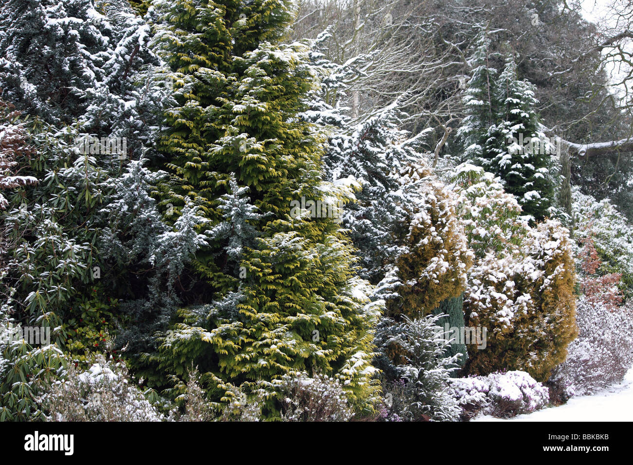 Un paese di scena su un inverni freddi giorno dopo la neve si è risolta in un country park Foto Stock