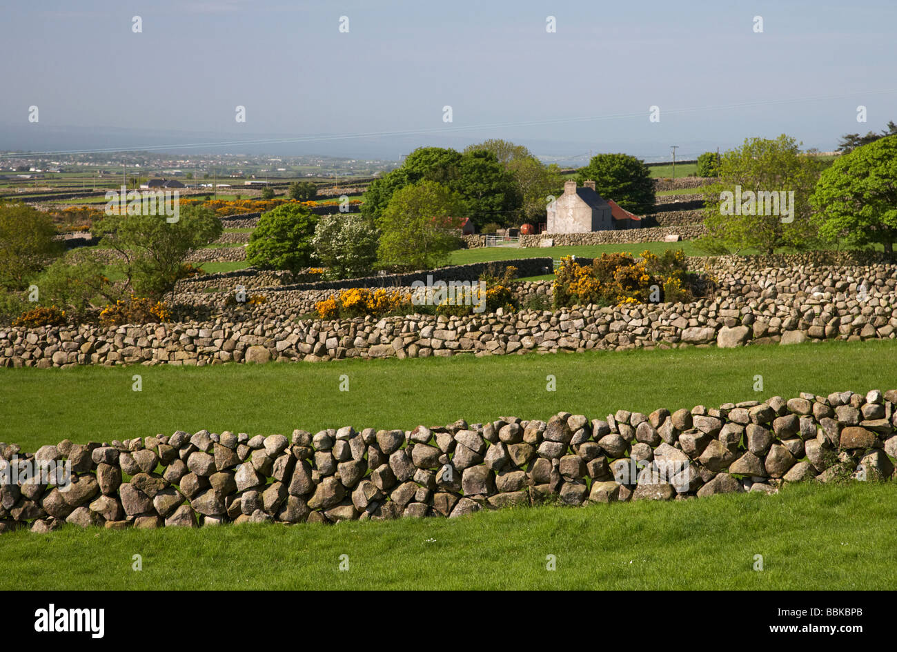 Muri in pietra a secco i confini del campo nel regno di Mourne contea di Down Irlanda del Nord Regno Unito Foto Stock