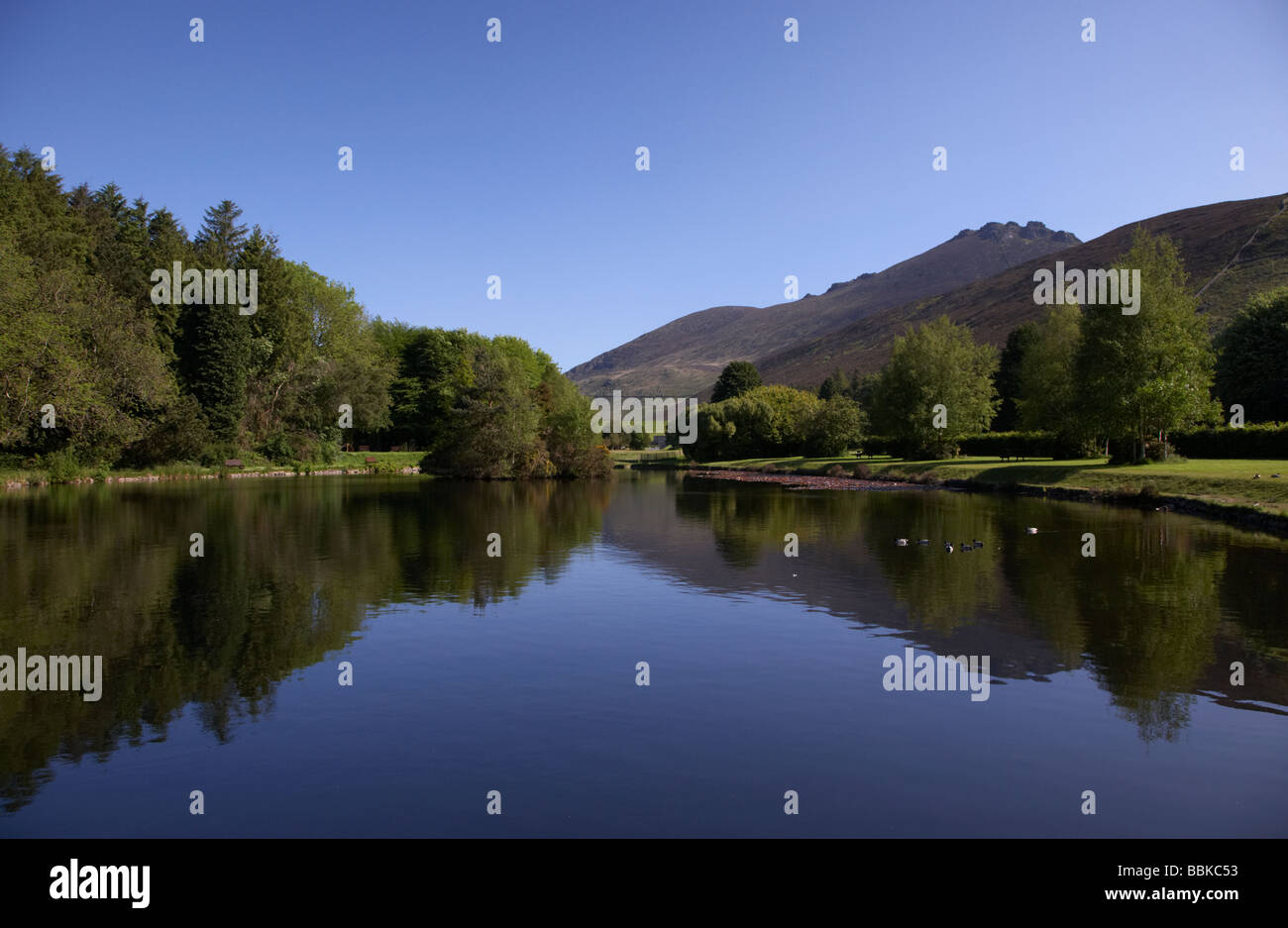 Piccolo laghetto nel silenzioso parco valle sotto Slieve Binnian nella Mourne Mountains contea di Down Irlanda del Nord Regno Unito Foto Stock