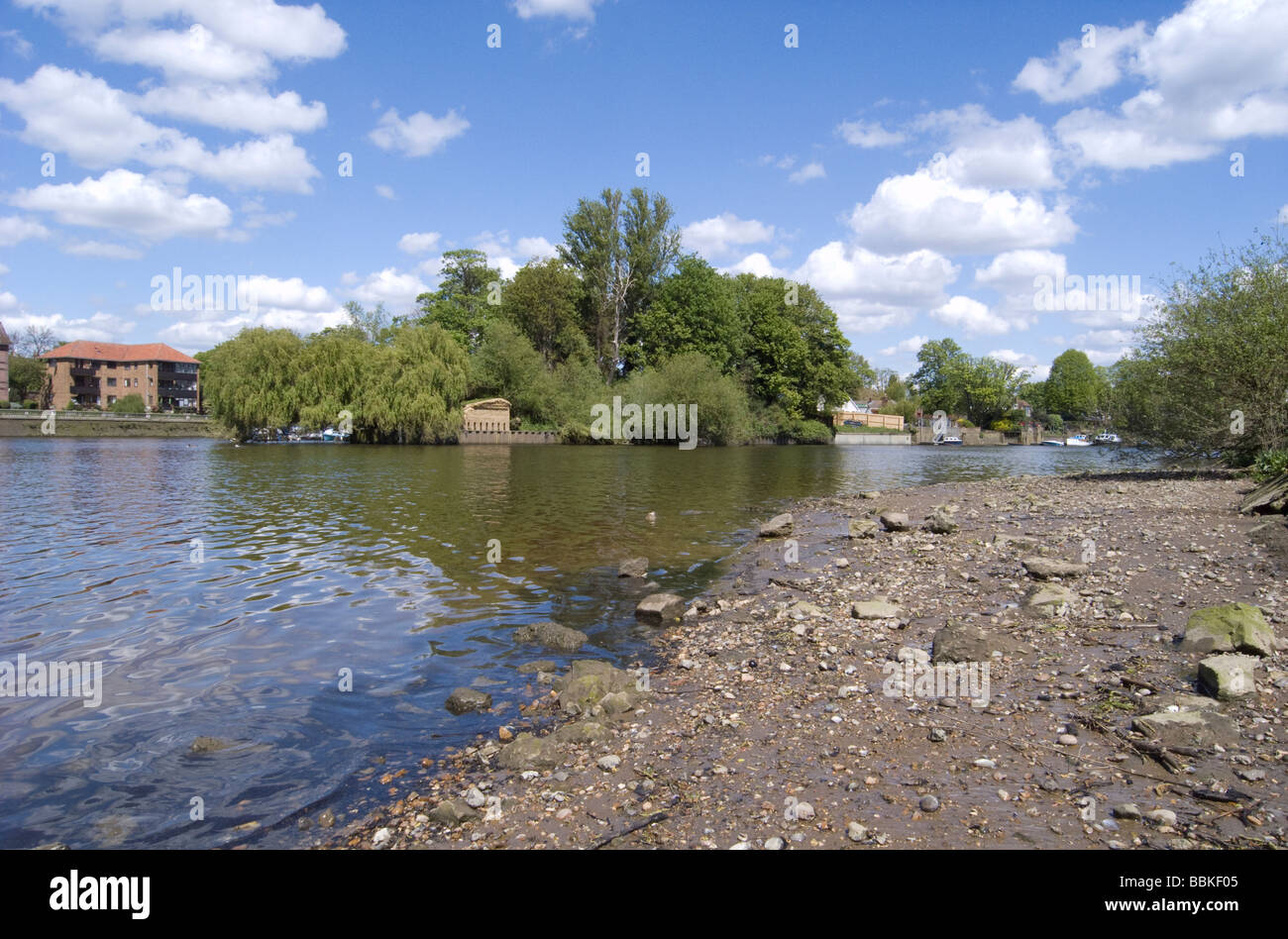 Eel Pie Island Twickenham Foto Stock