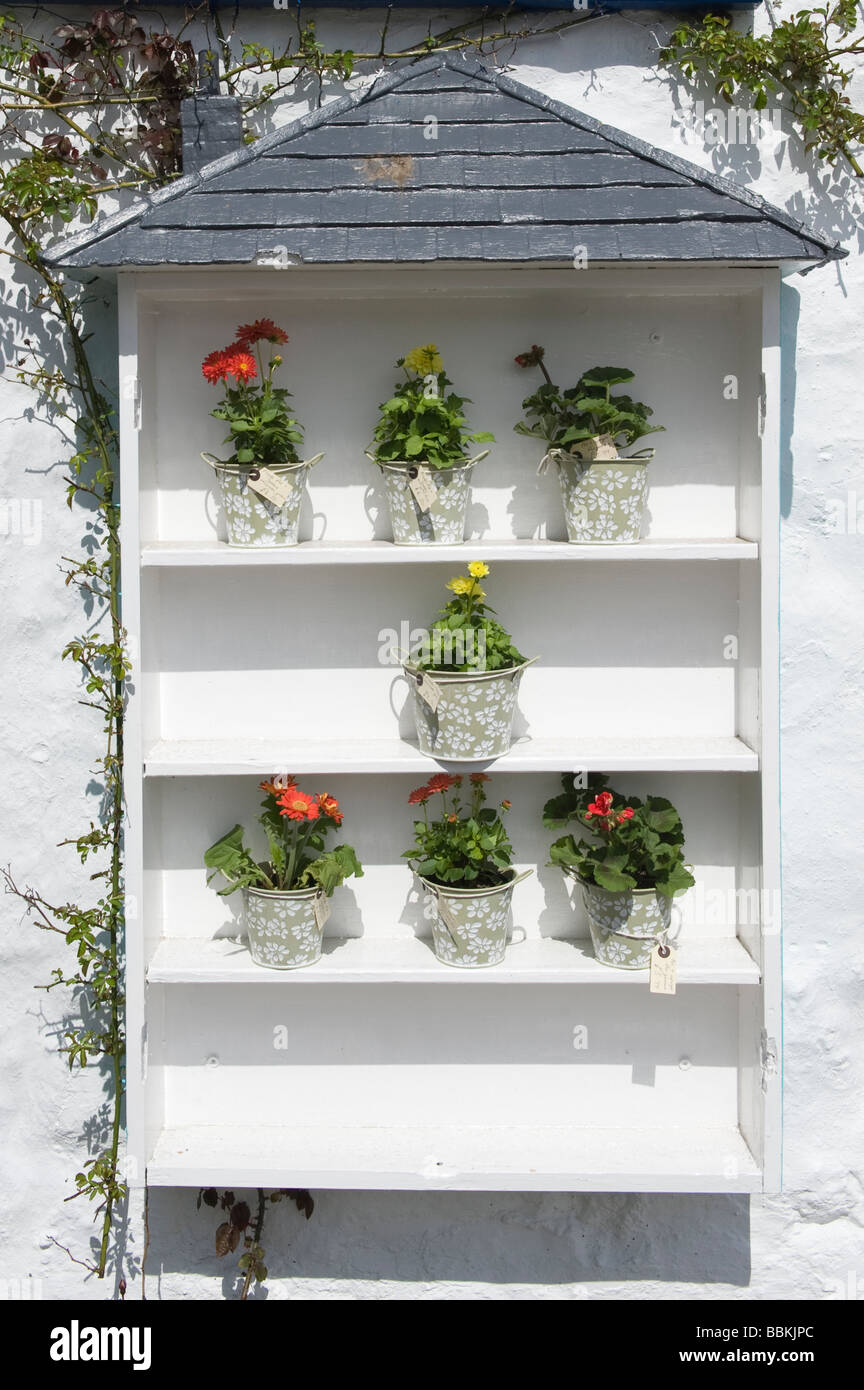 Montato a parete esterno bianco aperto armadio vendita di piante in vaso  Foto stock - Alamy