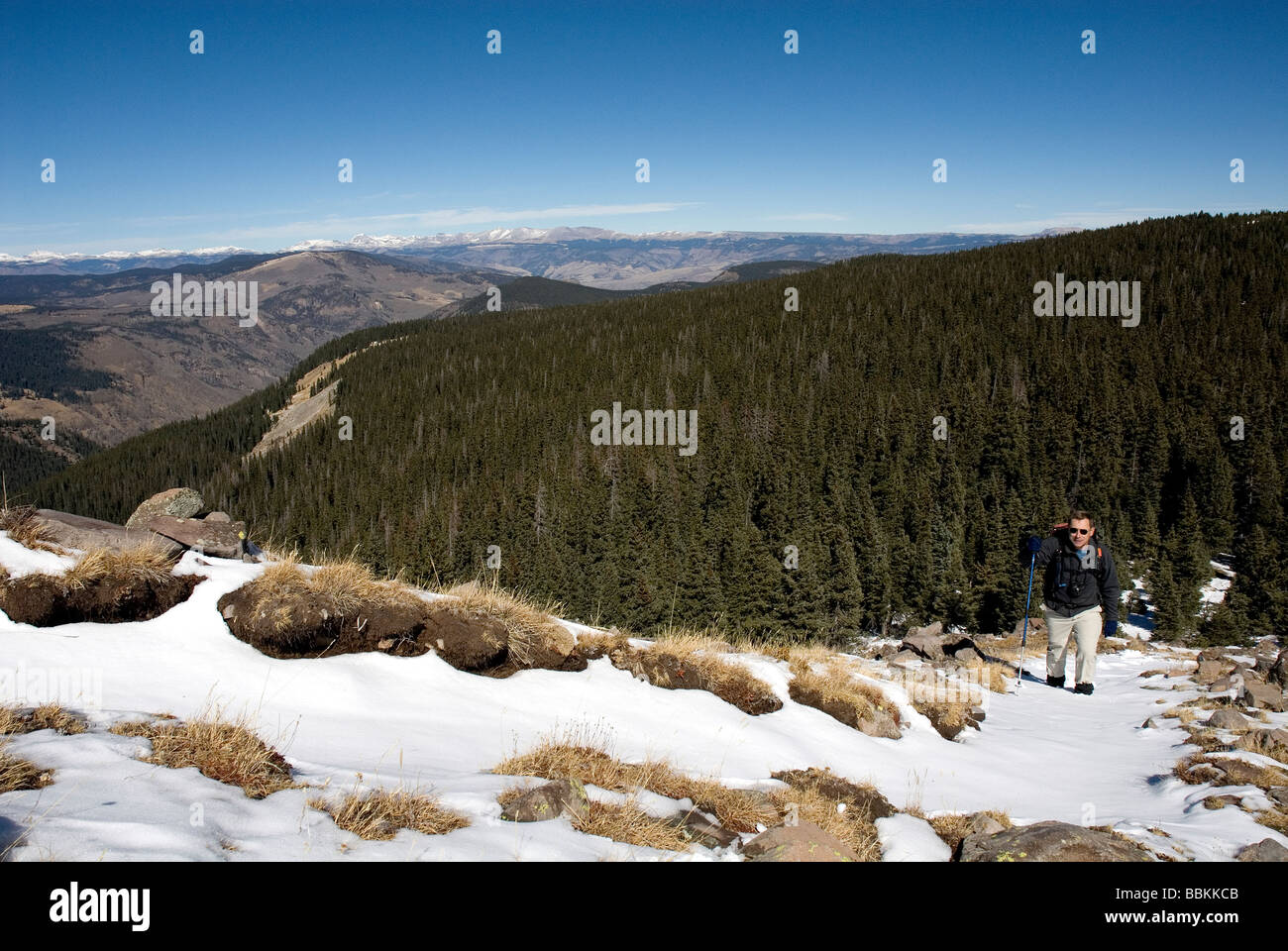 Mike Vining escursionismo il sentiero delle Highland Weminuche Wilderness Area Colorado USA Foto Stock