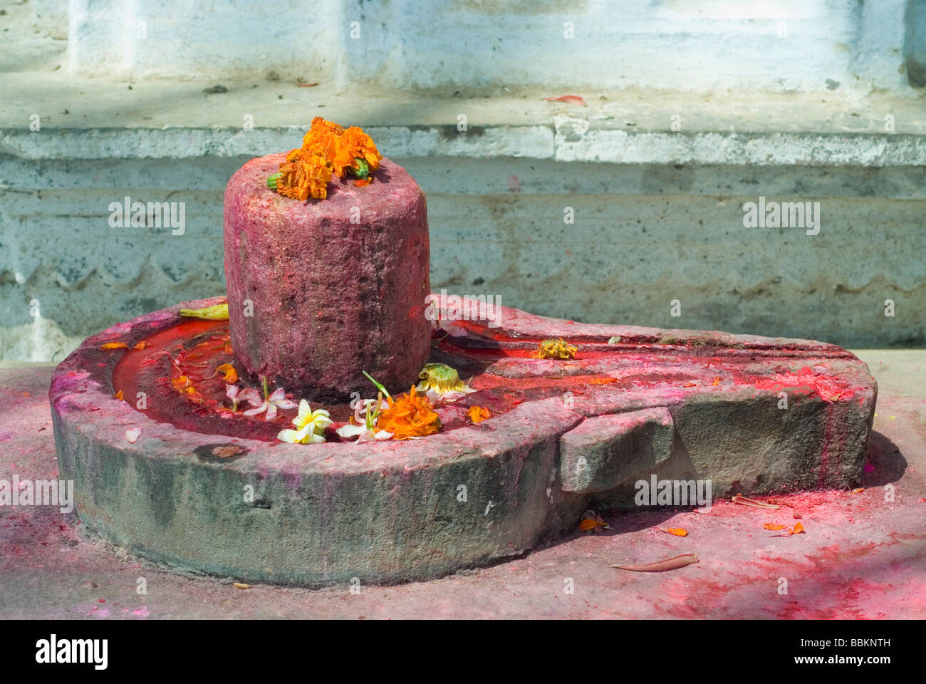 Shiva linga - oggetto di culto per gli indù. Holi festival, Varanasi (India). Foto Stock