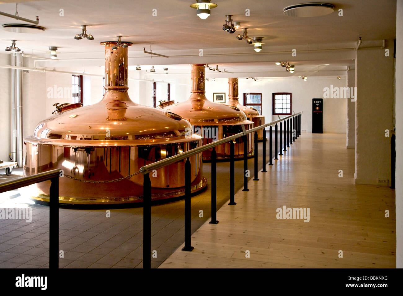 Il rame produzione birra serbatoi presso Carlsberg Brewery, Copenaghen, Danimarca, Europa Foto Stock