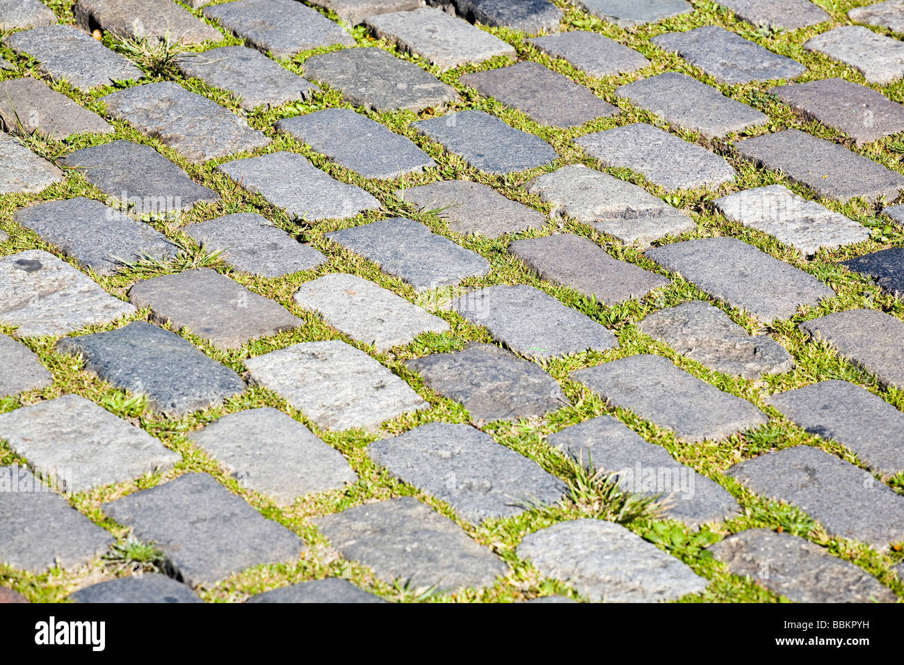 Pietre per pavimentazione con erba cresciuta Foto Stock