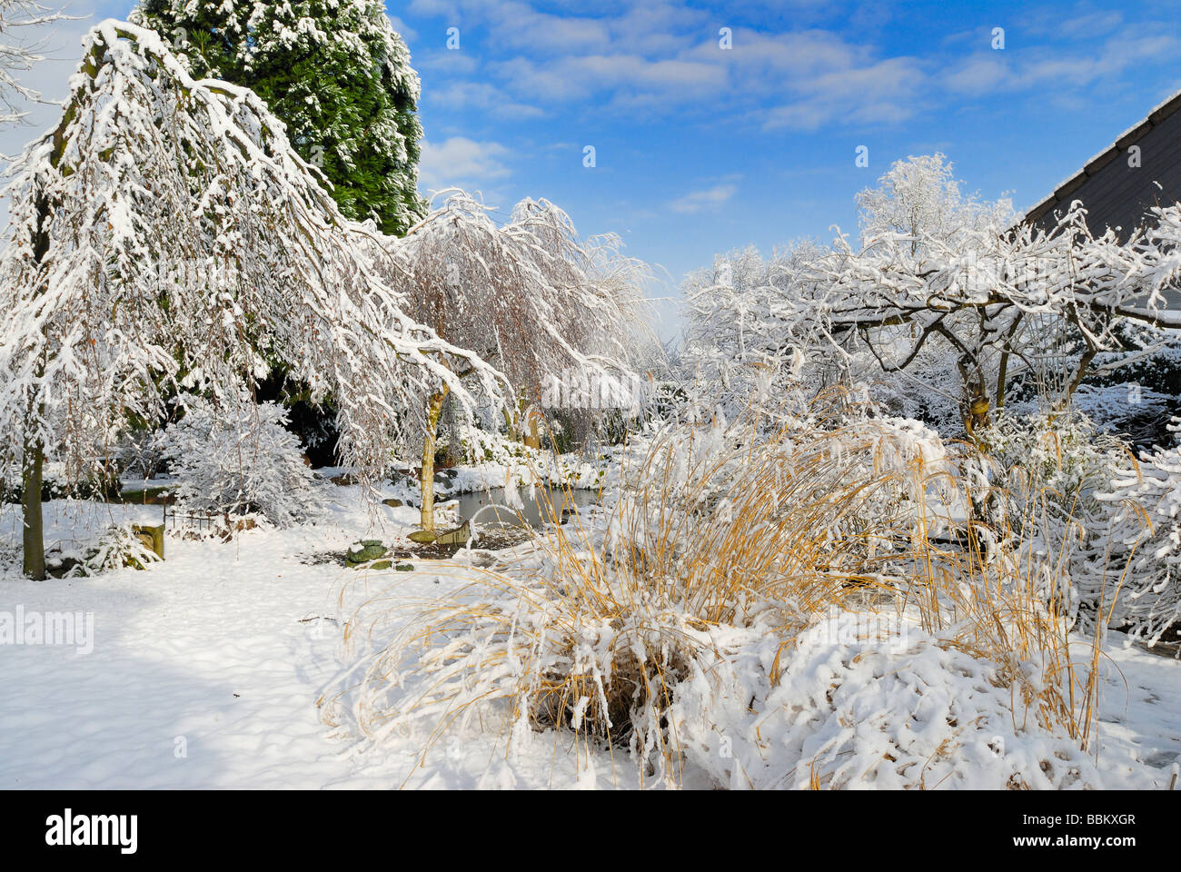 Giardino in inverno con la neve Foto Stock