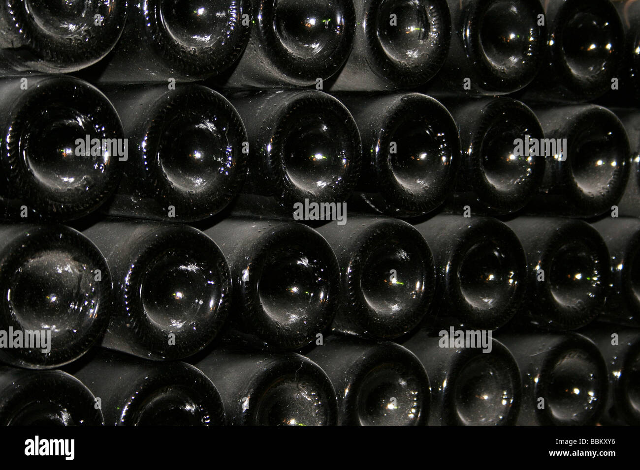 File di bottiglie di vino su un vino francese in estate la Valle del Lot Foto Stock