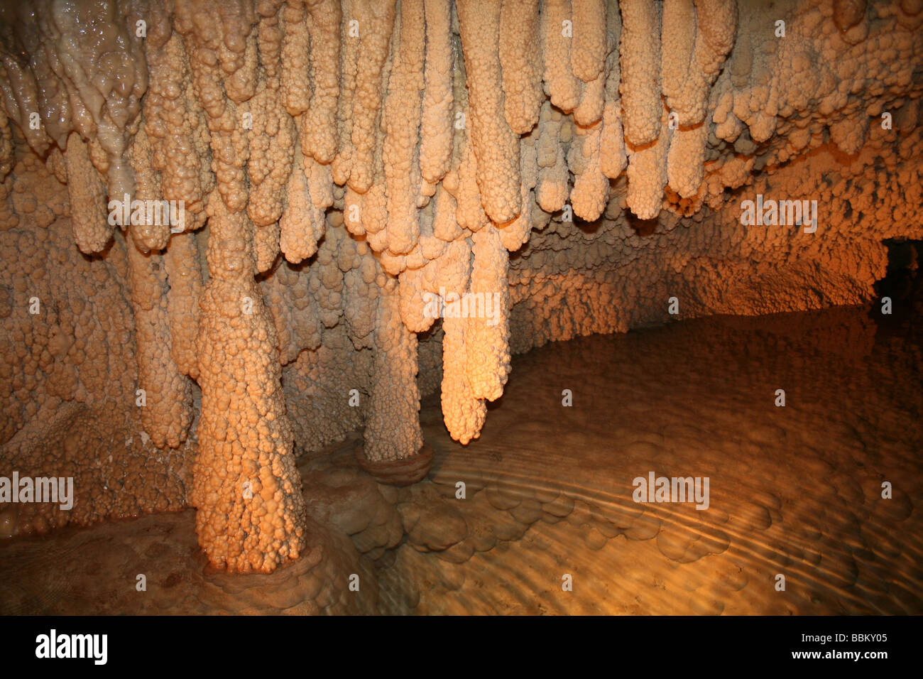 Stalattiti di calcare grotta carsica, grotta Roland, vicino a Montcuq, Midi-Pirenei, Francia Foto Stock
