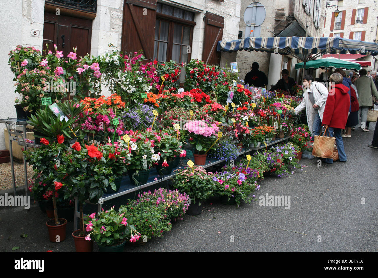 Pressione di stallo di fiori in un tradizionale mercato francese a Montcuq, Lot, Midi-Pirenei, Francia Foto Stock